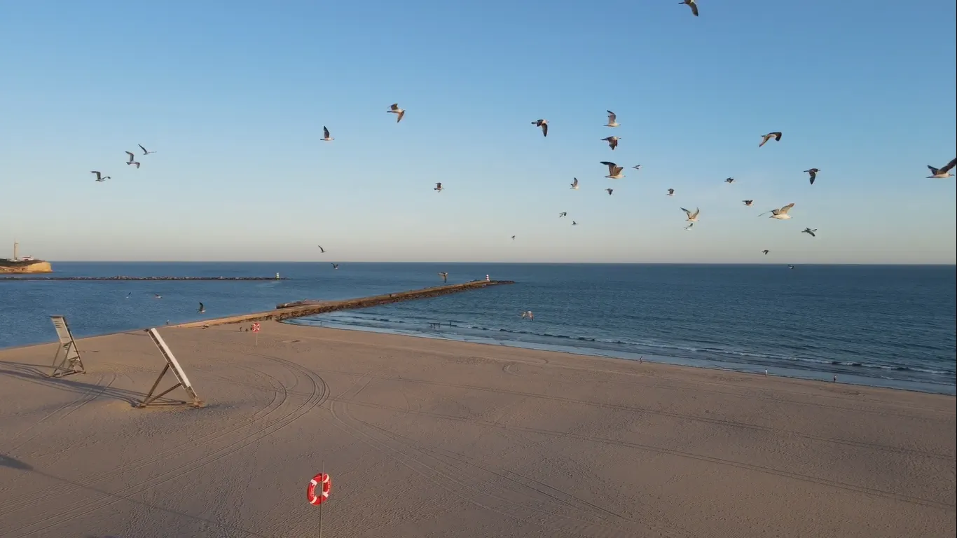 O Mercado Imobiliário no Algarve: Por que muitos negócios falham (e como evitar)