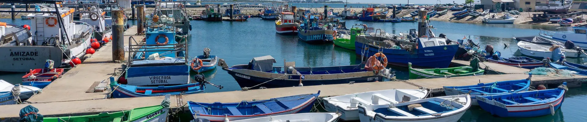 CENTURY 21 Contacto Directo